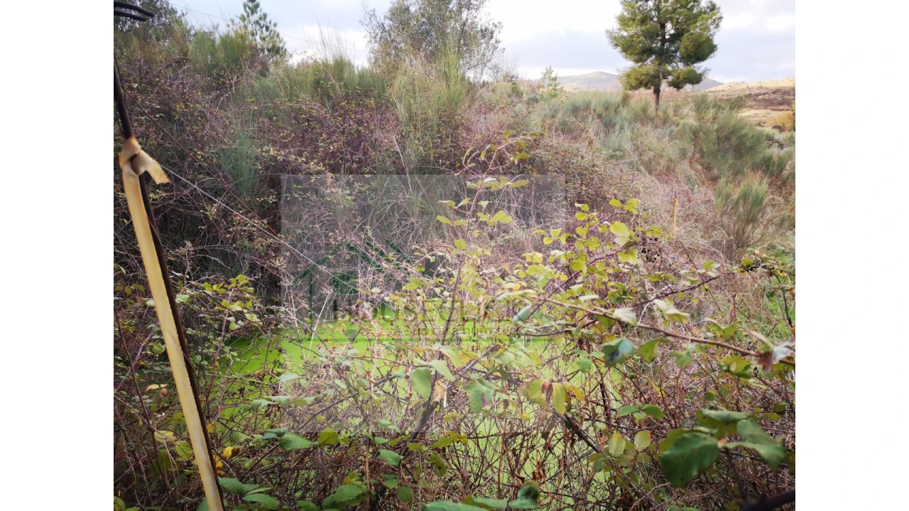 Terreno para Venda em Santo Estêvão e Moita Foto 12