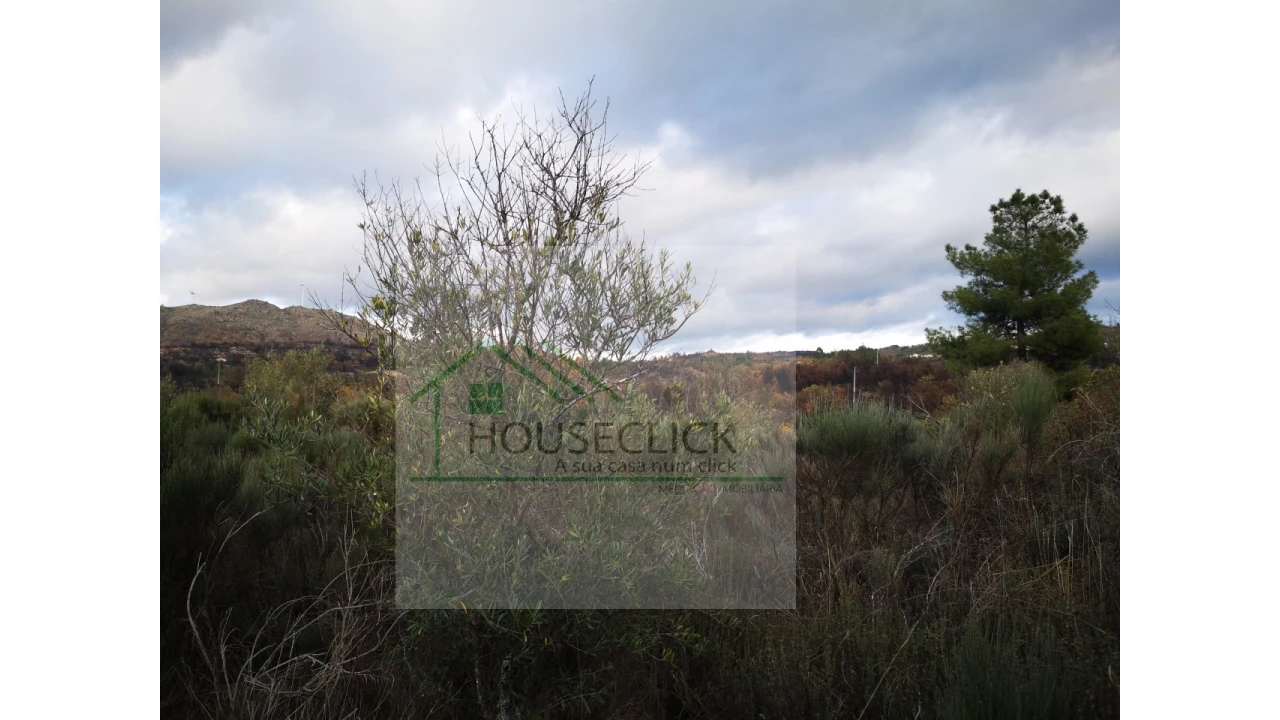 Terreno para Venda em Santo Estêvão e Moita Foto 18