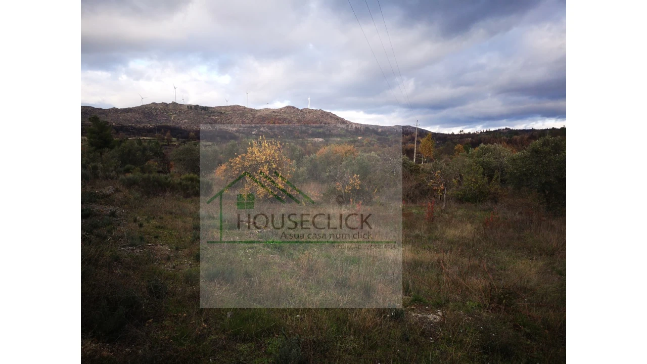 Terreno para Venda em Santo Estêvão e Moita Foto 22