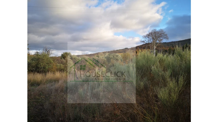 Terreno para Venda em Santo Estêvão e Moita Foto 3