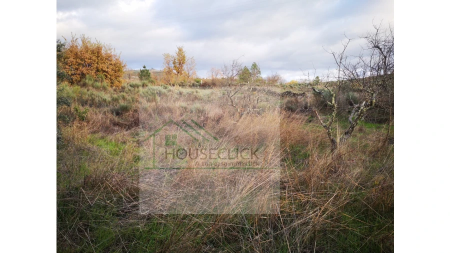 Terreno para Venda em Santo Estêvão e Moita Foto 7