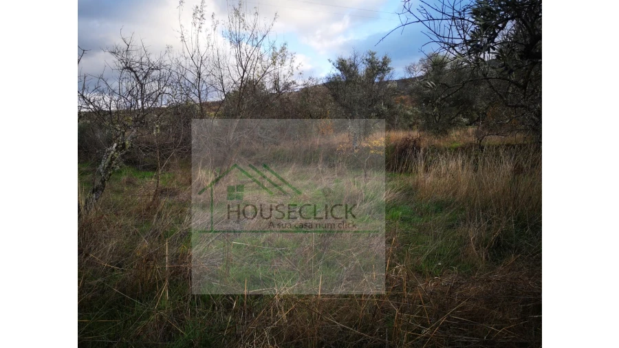 Terreno para Venda em Santo Estêvão e Moita Foto 8