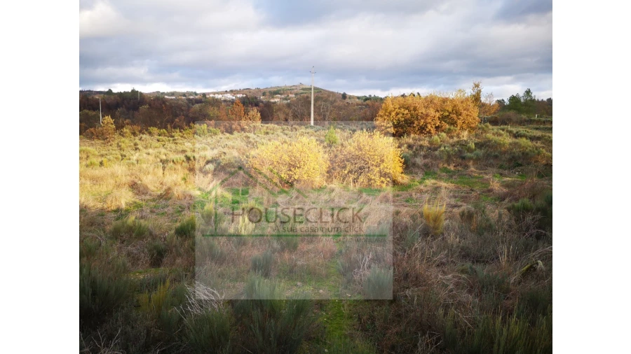 Terreno para Venda em Santo Estêvão e Moita Foto 14