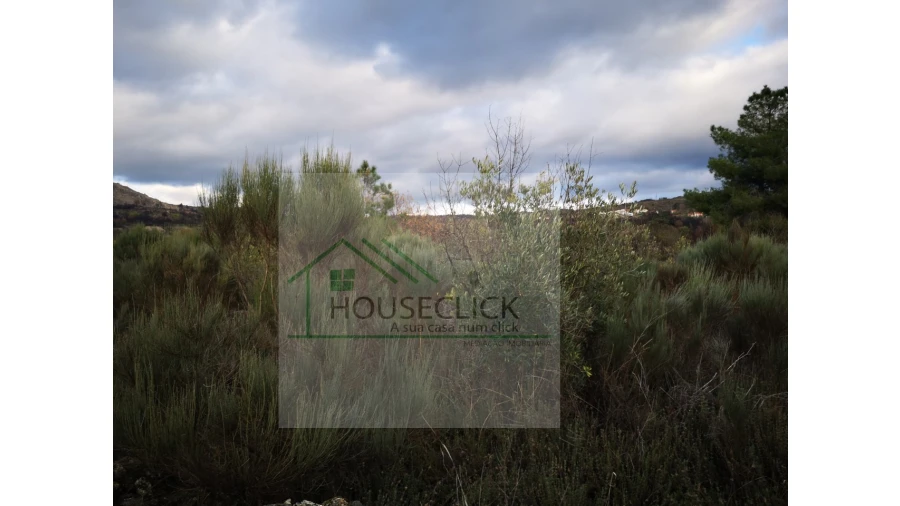 Terreno para Venda em Santo Estêvão e Moita Foto 16