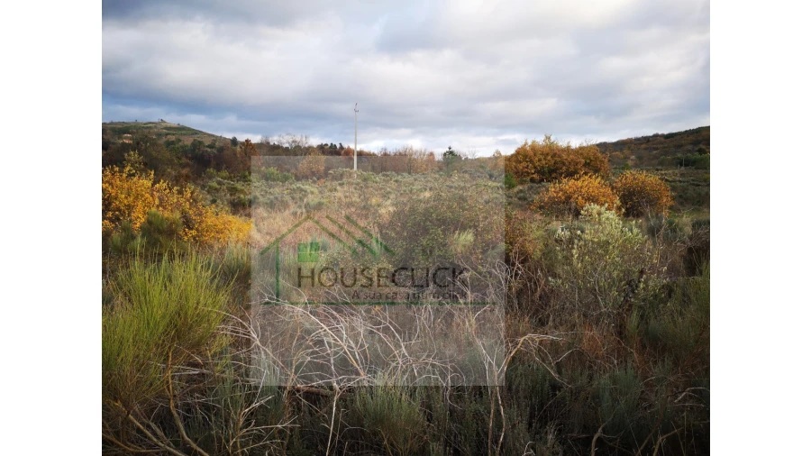 Terreno para Venda em Santo Estêvão e Moita Foto 17