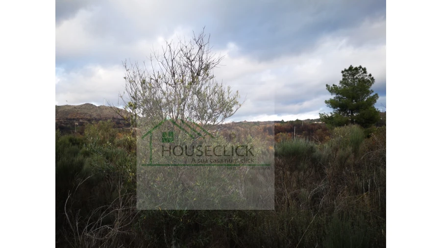 Terreno para Venda em Santo Estêvão e Moita Foto 18