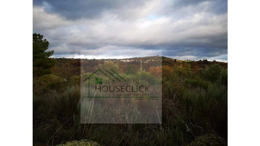 Terreno para Venda em Santo Estêvão e Moita Foto 20