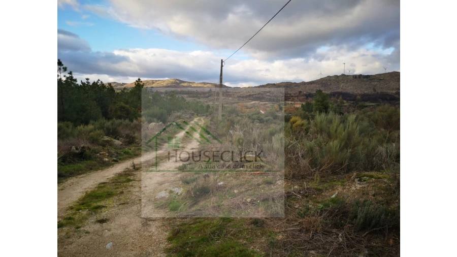 Terreno para Venda em Santo Estêvão e Moita Foto 21
