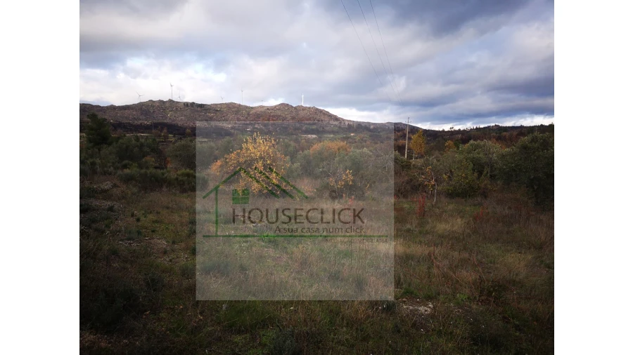 Terreno para Venda em Santo Estêvão e Moita Foto 22