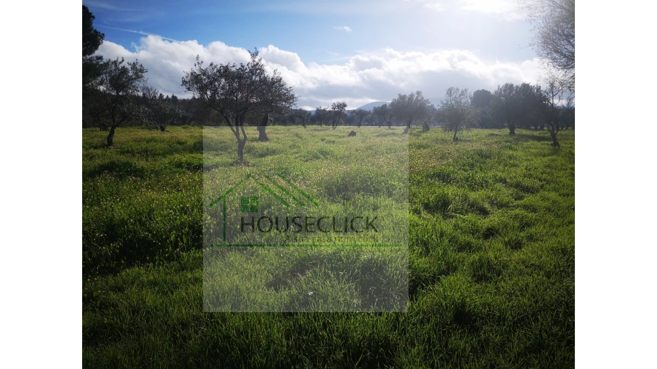Terreno Agricola ou Rústico para Venda em Vale da Senhora da Povoa Foto 3