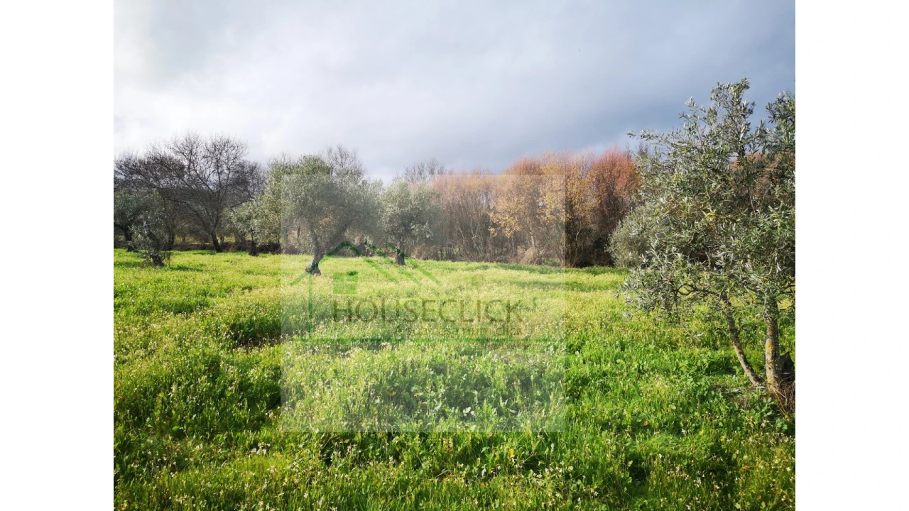 Terreno Agricola ou Rústico para Venda em Vale da Senhora da Povoa Foto 7