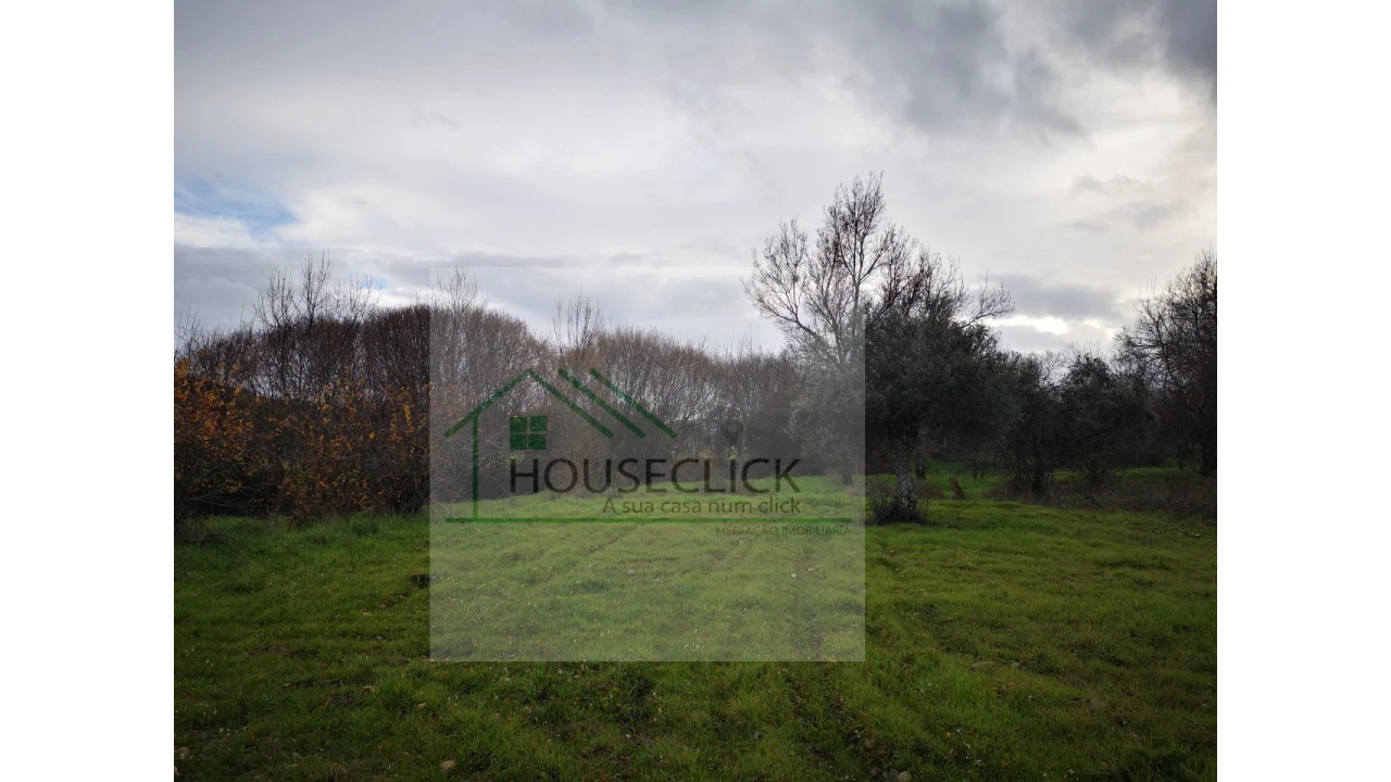 Terreno Agricola ou Rústico para Venda em Vale da Senhora da Povoa Foto 2