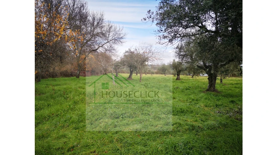 Terreno Agricola ou Rústico para Venda em Vale da Senhora da Povoa Foto 1