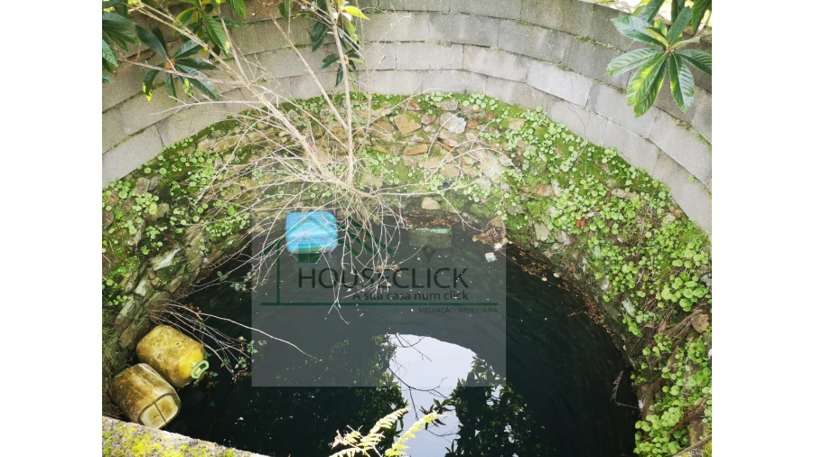 Terreno Agricola ou Rústico para Venda em Vale da Senhora da Povoa Foto 5