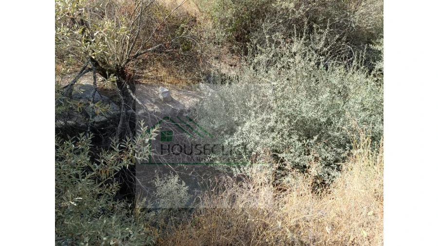 Terreno para Venda em Inguias Foto 6