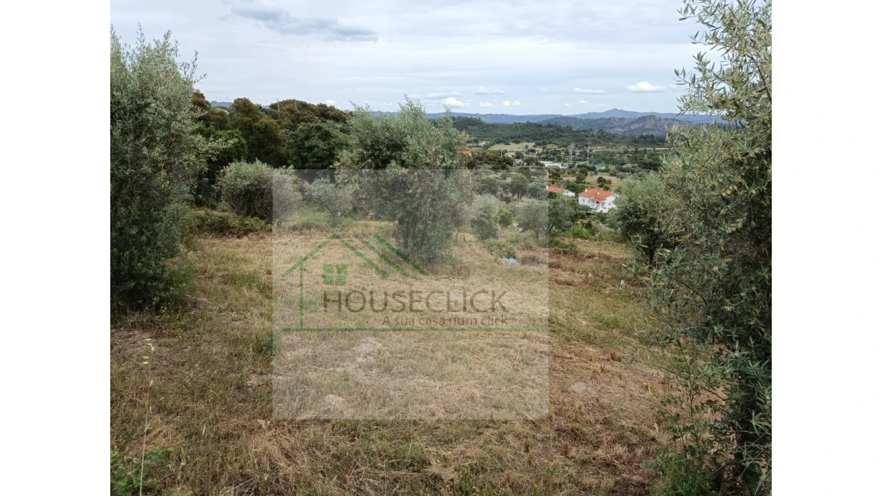 Terreno para Venda em Belmonte e Colmeal da Torre Foto 2