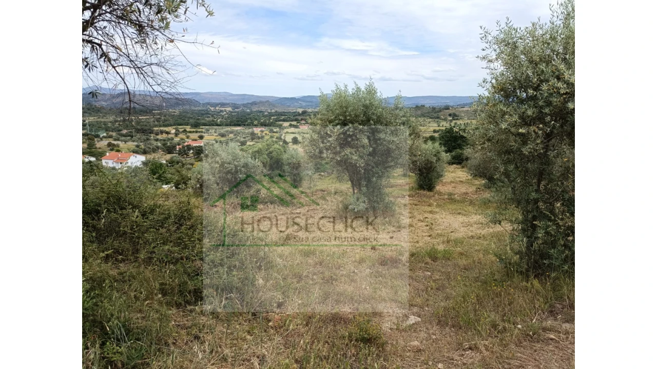 Terreno para Venda em Belmonte e Colmeal da Torre Foto 3
