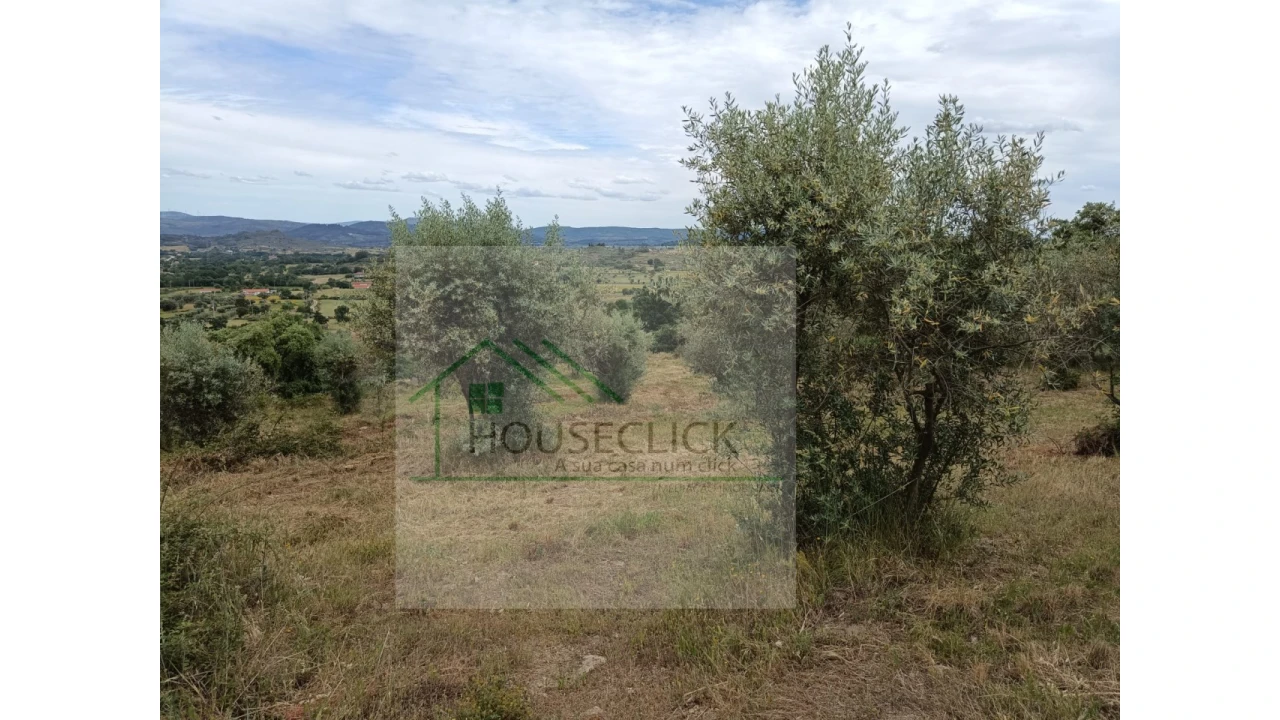 Terreno para Venda em Belmonte e Colmeal da Torre Foto 4