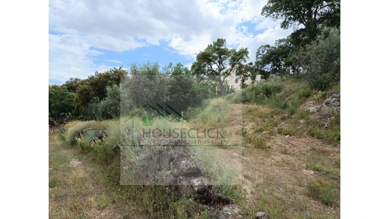 Terreno para Venda em Belmonte e Colmeal da Torre Foto 5