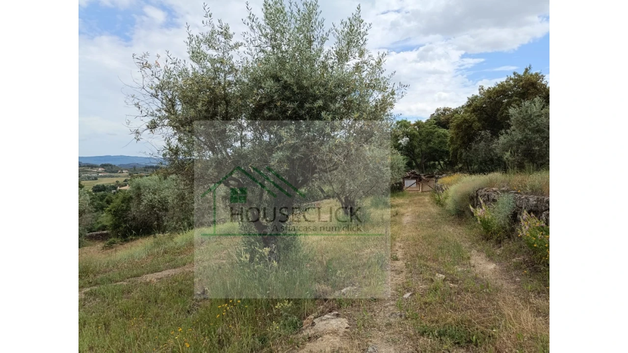 Terreno para Venda em Belmonte e Colmeal da Torre Foto 7
