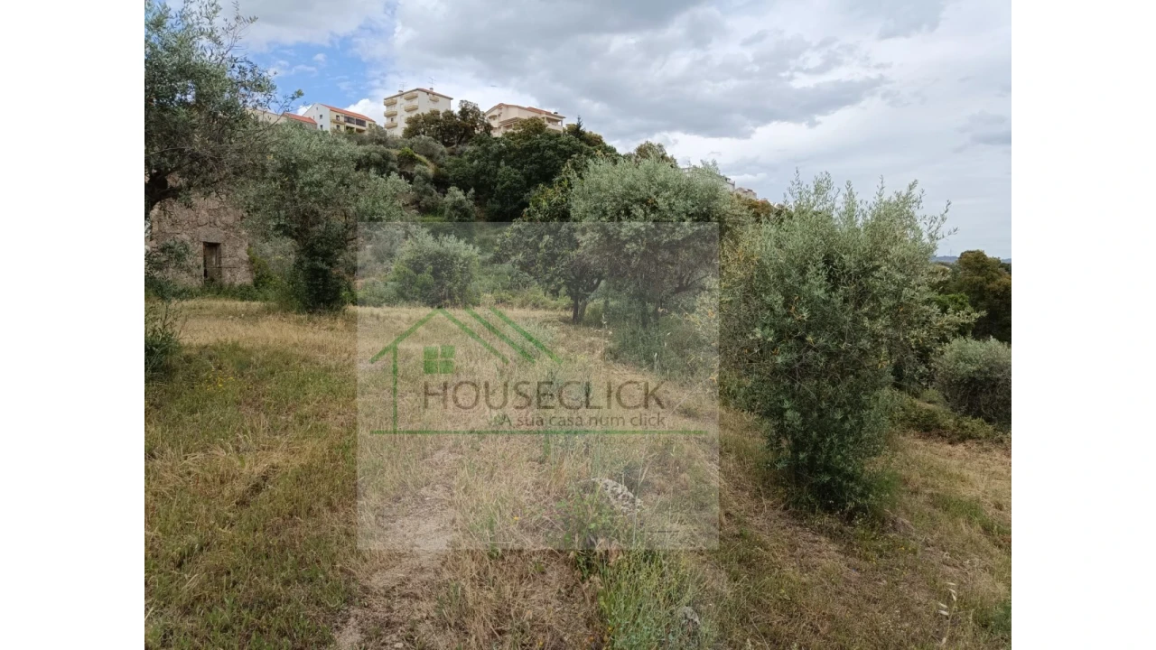 Terreno para Venda em Belmonte e Colmeal da Torre Foto 8