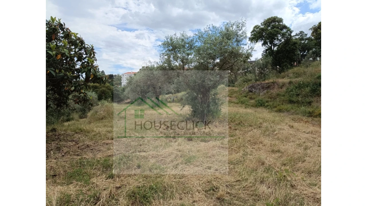 Terreno para Venda em Belmonte e Colmeal da Torre Foto 9