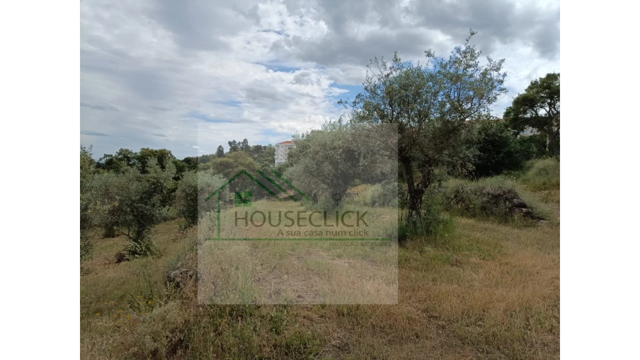 Terreno para Venda em Belmonte e Colmeal da Torre Foto 11
