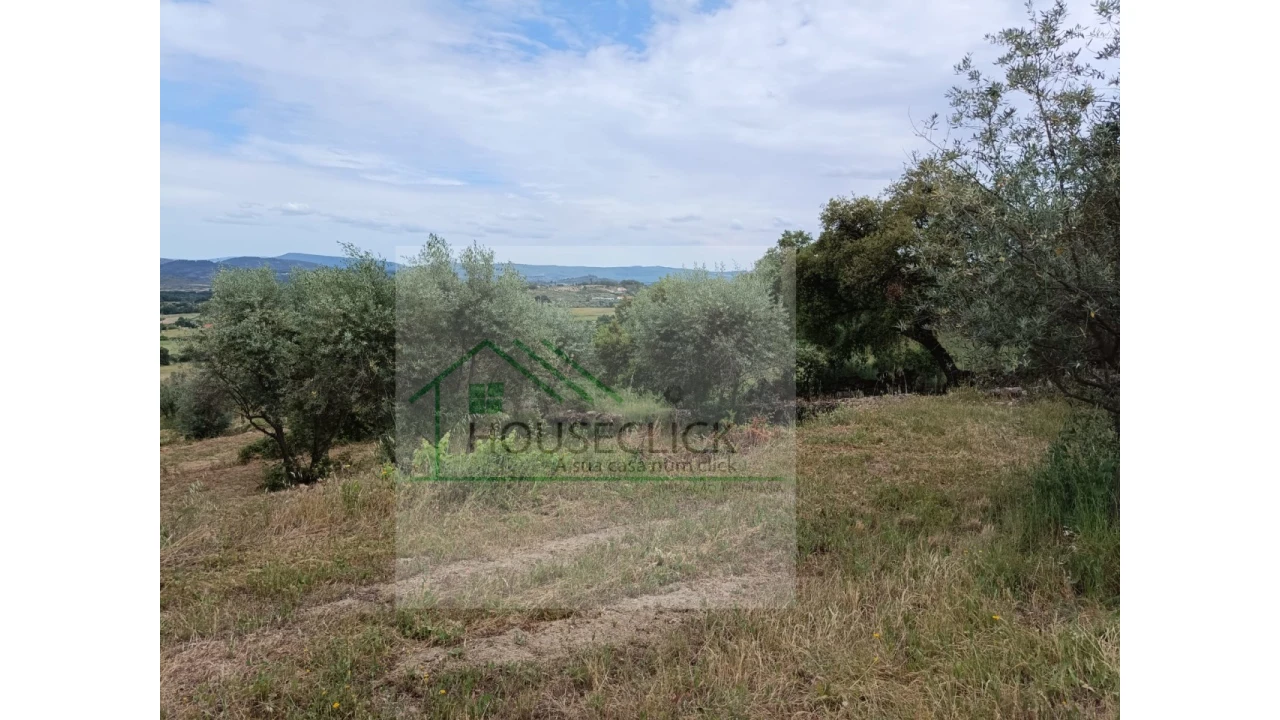 Terreno para Venda em Belmonte e Colmeal da Torre Foto 12