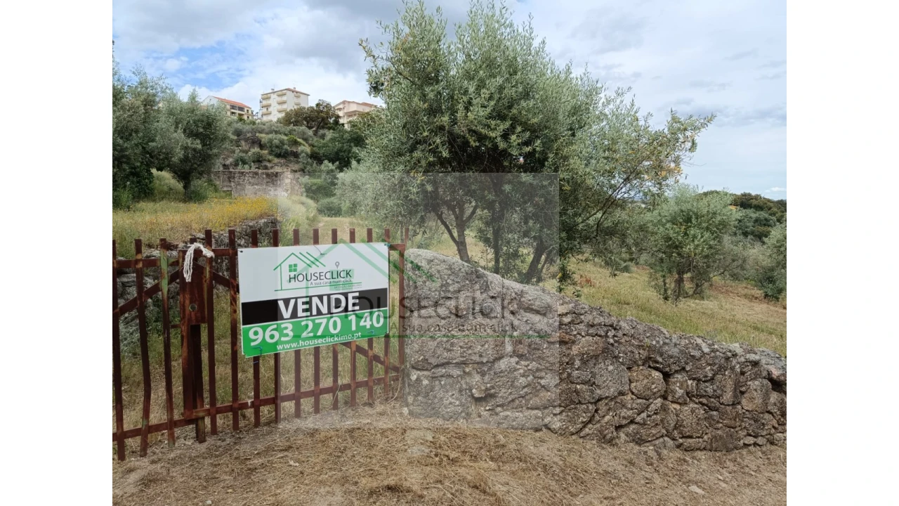 Terreno para Venda em Belmonte e Colmeal da Torre Foto 13