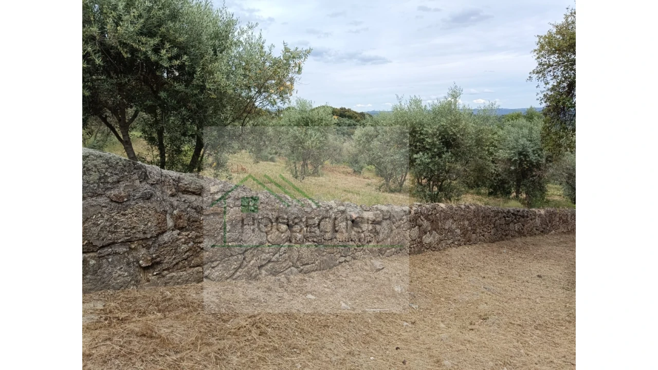 Terreno para Venda em Belmonte e Colmeal da Torre Foto 14