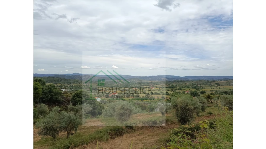 Terreno para Venda em Belmonte e Colmeal da Torre Foto 1