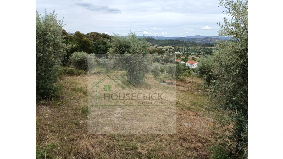Terreno para Venda em Belmonte e Colmeal da Torre Foto 2