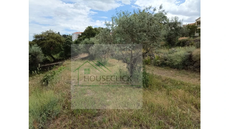 Terreno para Venda em Belmonte e Colmeal da Torre Foto 6