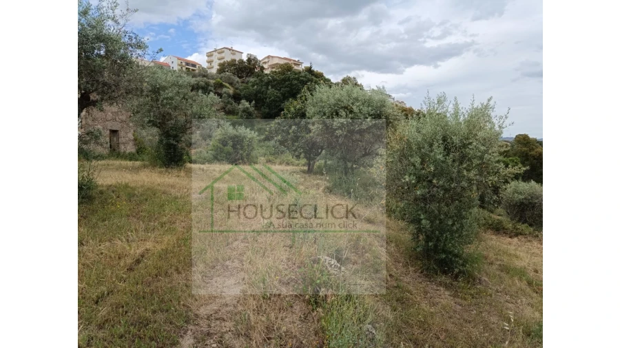 Terreno para Venda em Belmonte e Colmeal da Torre Foto 8