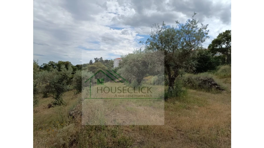 Terreno para Venda em Belmonte e Colmeal da Torre Foto 11