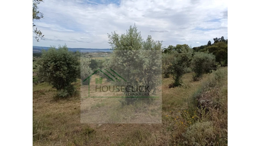 Terreno para Venda em Belmonte e Colmeal da Torre Foto 15
