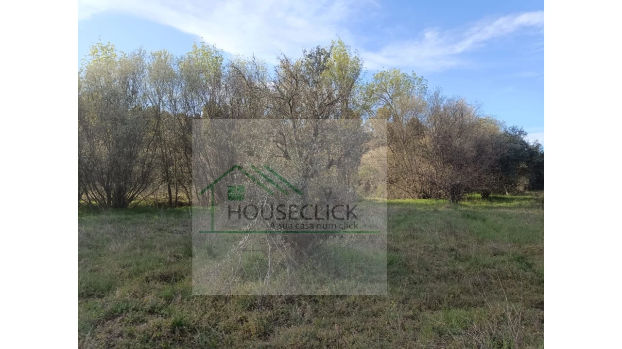 Quinta para Venda em Maçainhas Foto 12