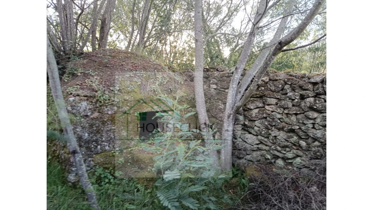 Quinta para Venda em Maçainhas Foto 13