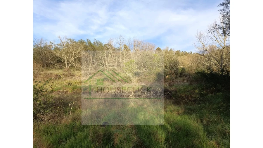 Quinta para Venda em Maçainhas Foto 8