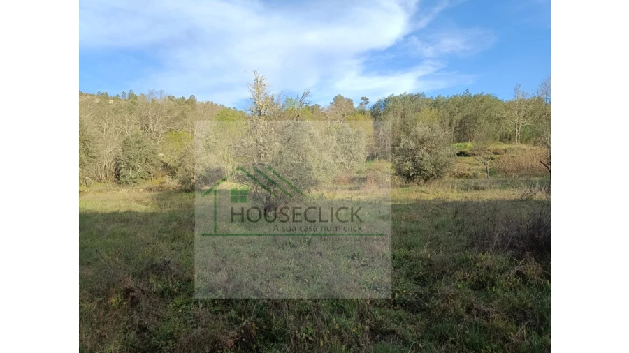 Quinta para Venda em Maçainhas Foto 9