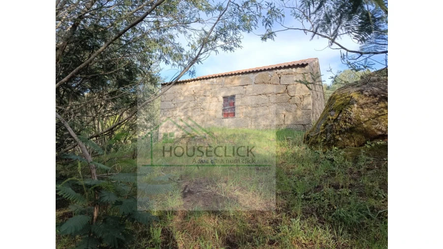 Quinta para Venda em Maçainhas Foto 1