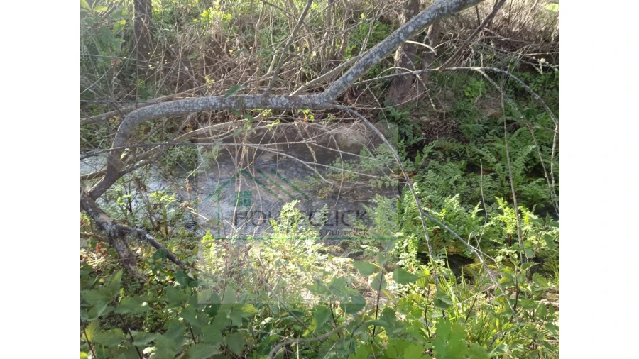 Quinta para Venda em Maçainhas Foto 10