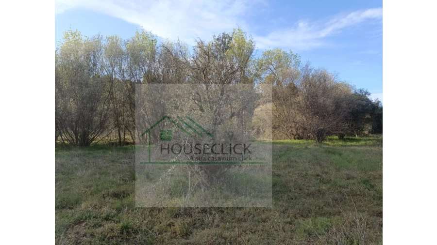 Quinta para Venda em Maçainhas Foto 12