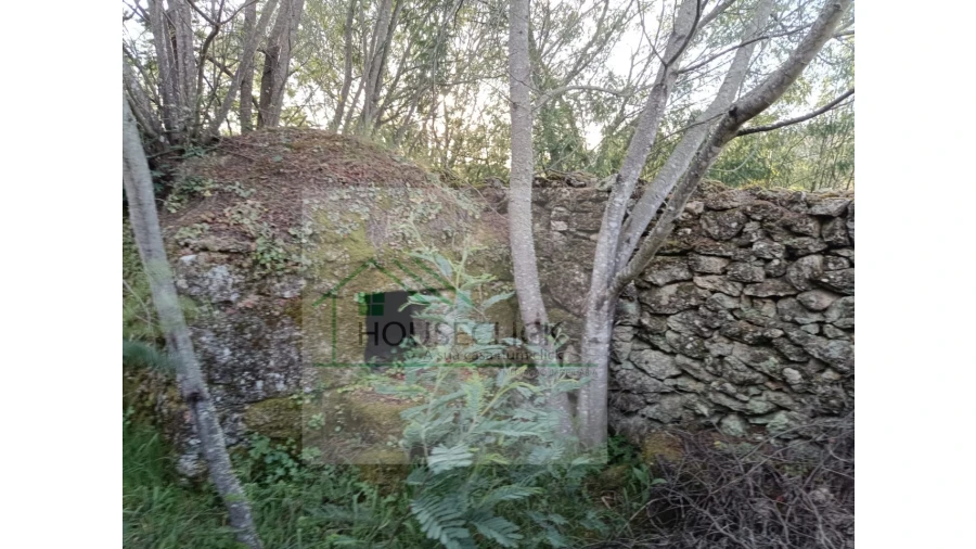 Quinta para Venda em Maçainhas Foto 13