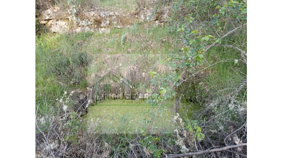 Quinta para Venda em Maçainhas Foto 15