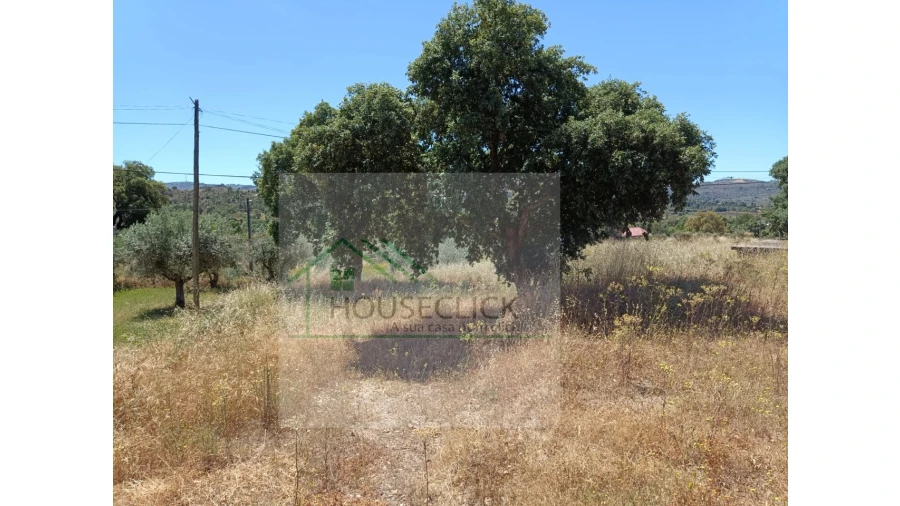 Terreno para Venda em Bendada Foto 4