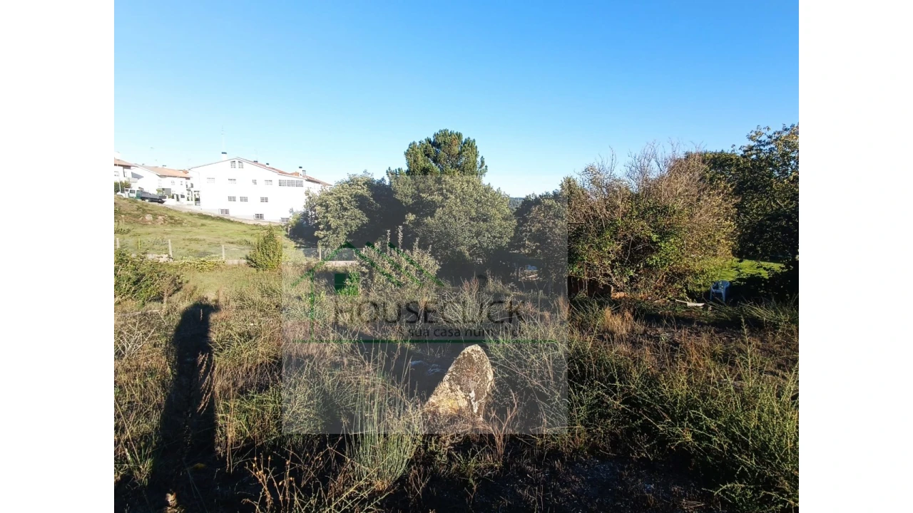 Terreno para Venda em Guarda Foto 7