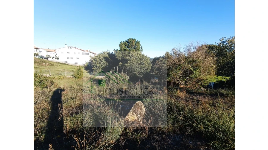 Terreno para Venda em Guarda Foto 7
