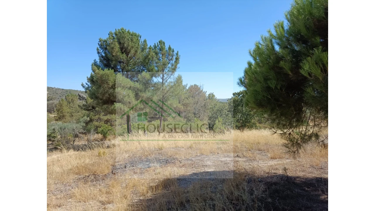 Terreno para Venda em Inguias Foto 2