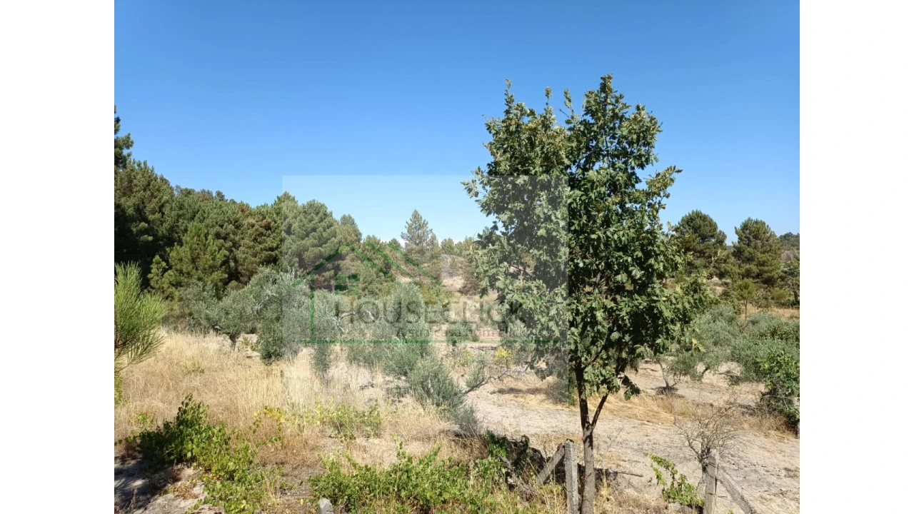 Terreno para Venda em Inguias Foto 3